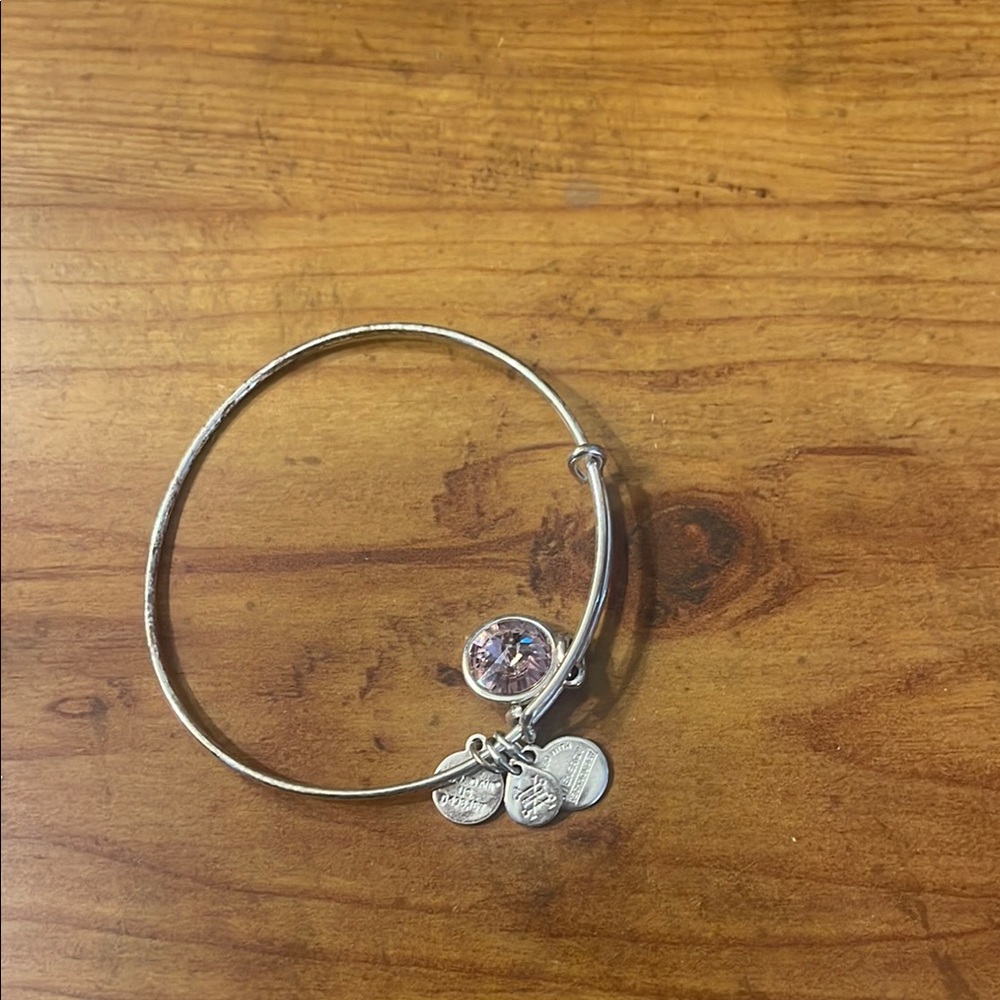 Alex and Ani Silver Bangle Bracelet with Charms